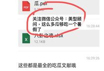 娱乐圈吃瓜pdf文件,PDF文件深度解析