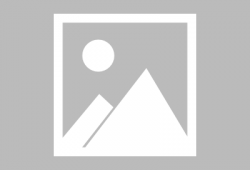 麻豆粽,探寻传统美食的传承与创新