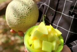 娱乐圈吃瓜名称,那些年我们追过的明星八卦大揭秘